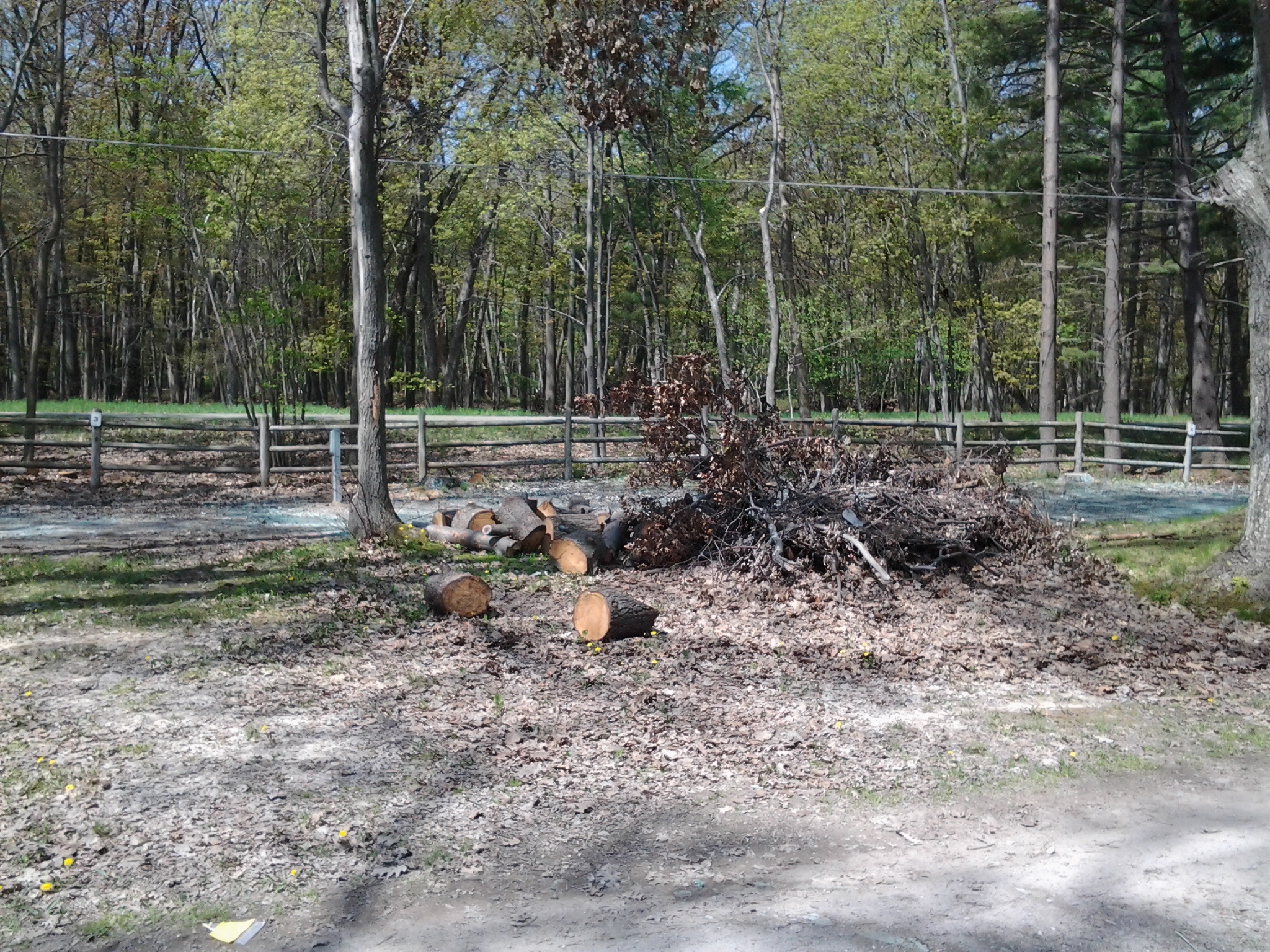 Pt. Augres Park Arenac County, Michigan